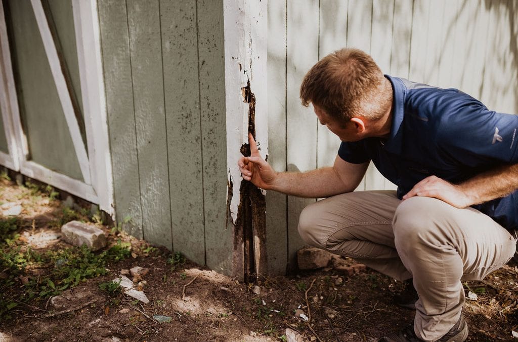 THE IMPORTANCE OF HAVING A TERMITE INSPECTION BEFORE PURCHASING A HOME - Pest  Control Jupiter | Termite Control Florida | Lawn Care 33469 - Palm Coast Pest  Control