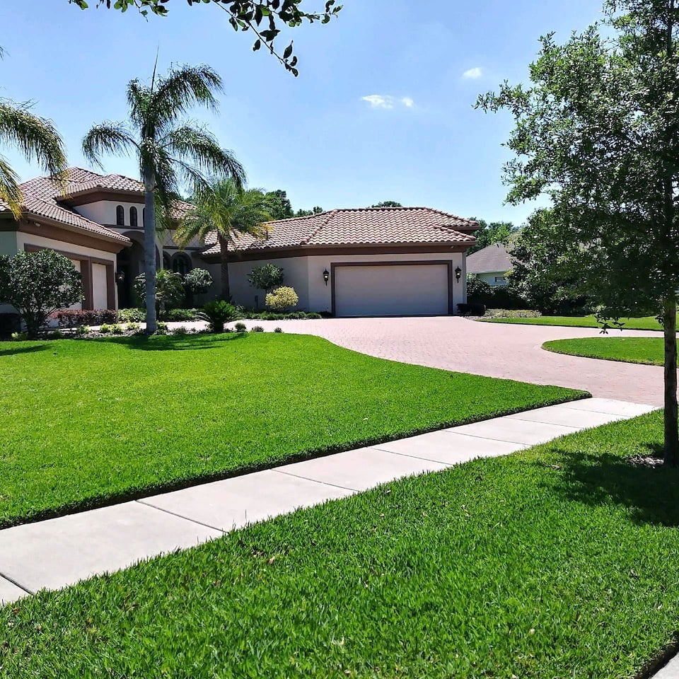 What Our Customers Love About Our Lawn Care