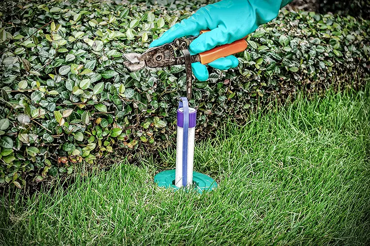 Non-Invasive Advantage of Sentricon®